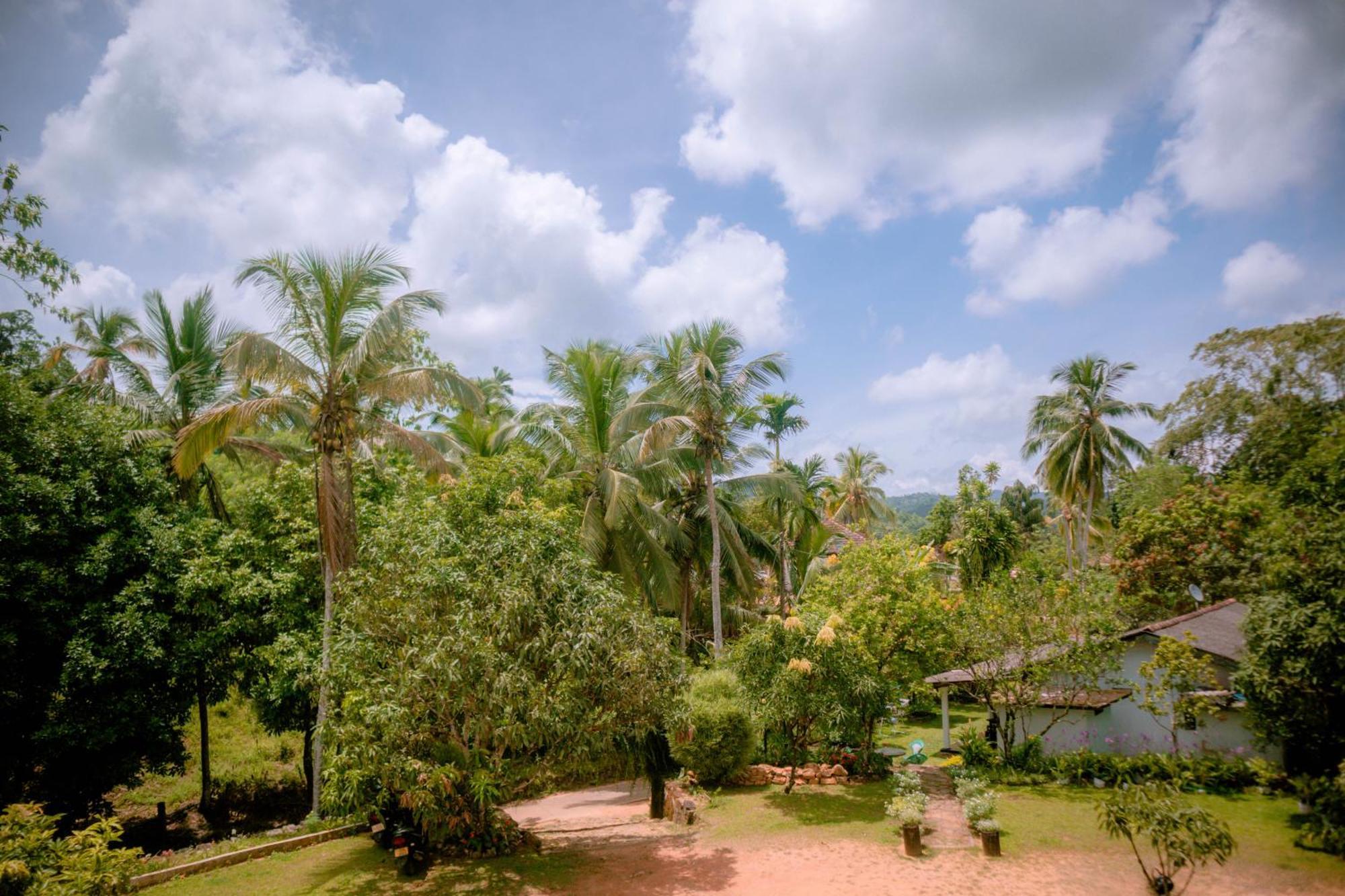 Evergreen Villa - Sinharaja Deniyaya Exterior foto