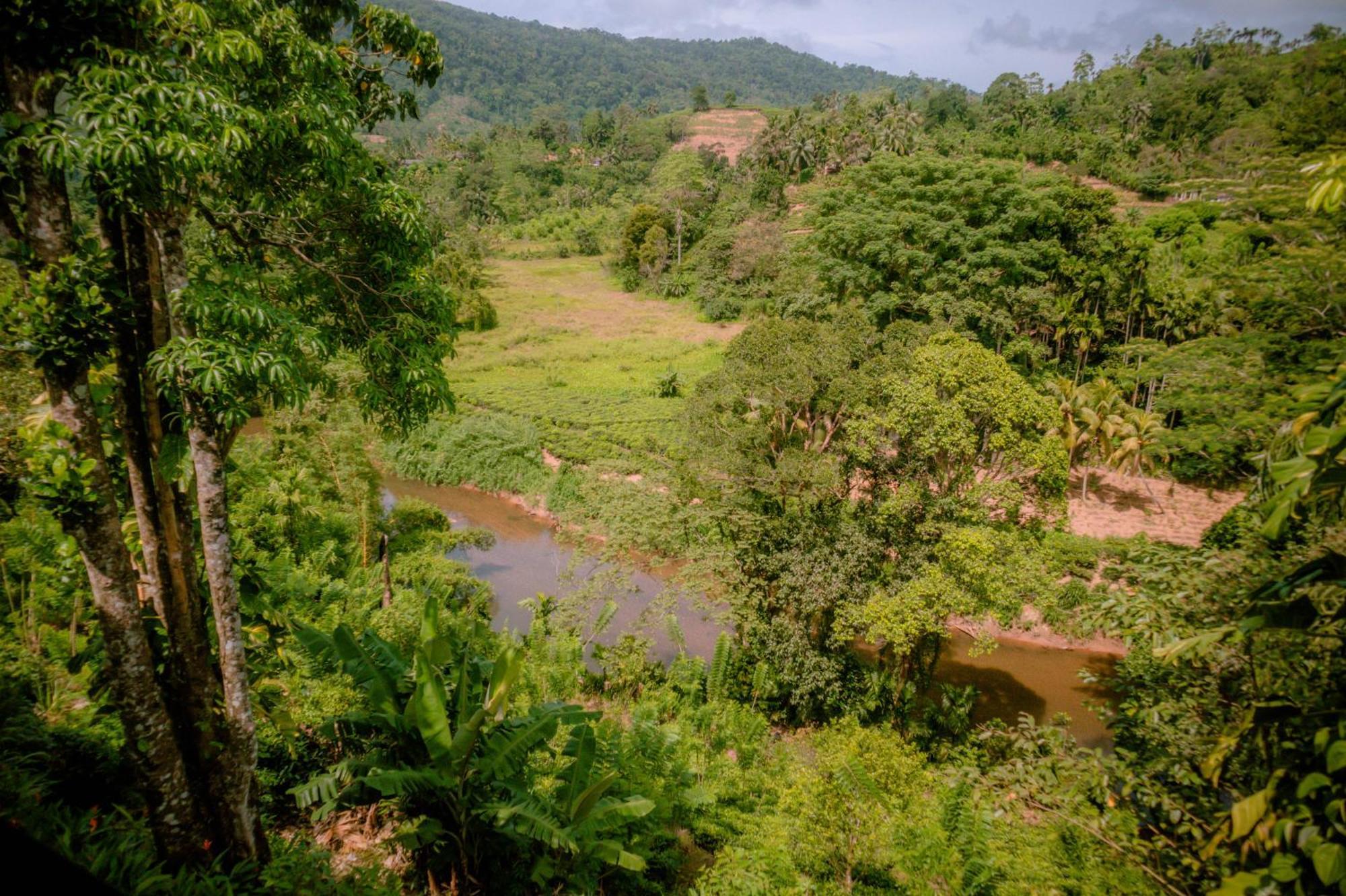 Evergreen Villa - Sinharaja Deniyaya Exterior foto